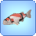 Doitsu Koi