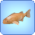Kawarimono Koi