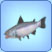 Lachs