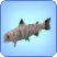 Mumienfisch