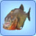 Piranha
