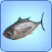 Thunfisch