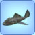 Vampirfisch